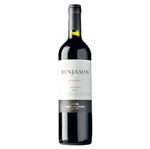 Vino-Tinto-Malbec-BENJAMIN-Nieto-Tinto-750-ml-0