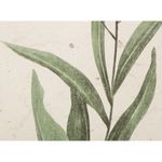 Lamina-con-Marco-40-x-50-cm-Flores-5