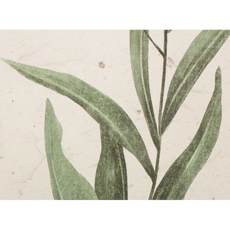 Lamina-con-Marco-40-x-50-cm-Flores-5