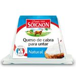 Queso-de-cabra-PIRAMIDE-SOIGNON-140-g-0