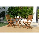 Silla-Madera-Plegable-con-Posabrazos-58x94x54-cm-1