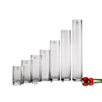 Florero-de-Vidrio-mv-600-20-10x20-cm-0