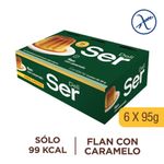 Pack-flan-SER-pack-570-g-0
