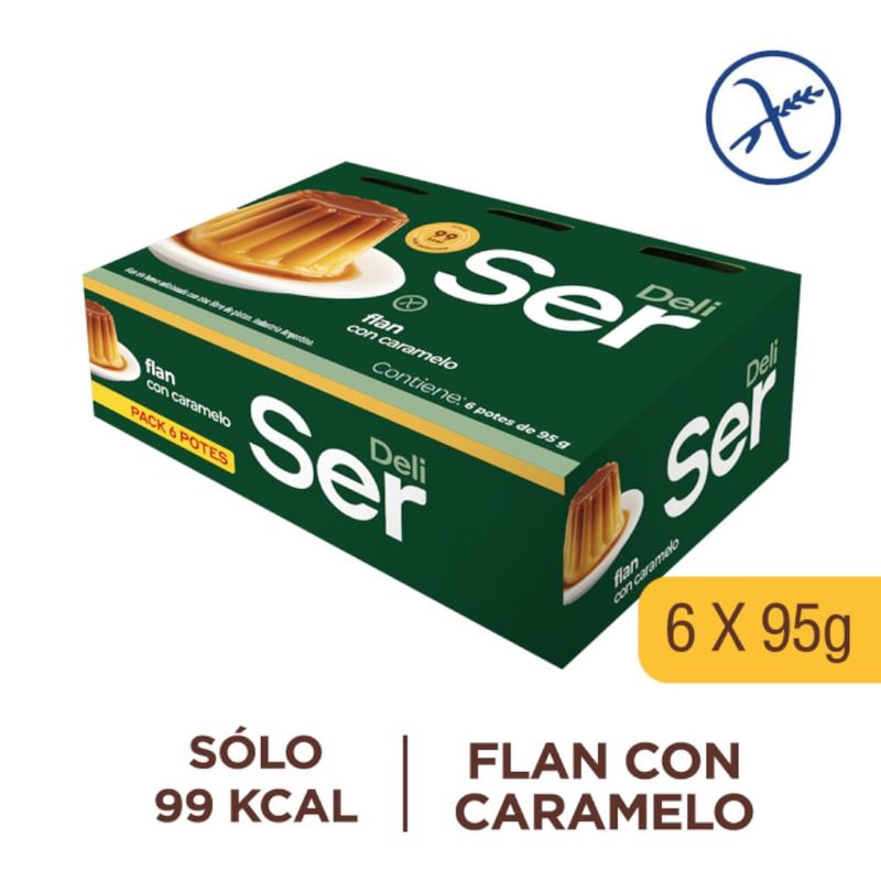 Pack-flan-SER-pack-570-g-0