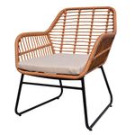 Set-4-piezas-en-Acero-Ratan-con-almohadones-5