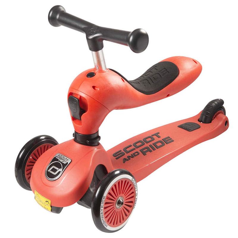 Monopatin-Buggy-2-en-1-0