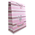 Bolsa-de-Regalo-Infantil-30-x-415-x-12-cm-0