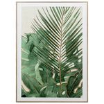 Lamina-con-Marco-50x70-cm-xcc-247291-T-hojas-0