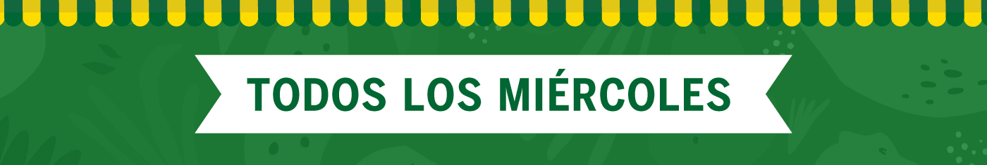 Banner Principal